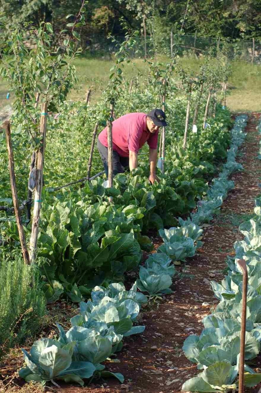 Lokanda Devetak Savogna dʼIsonzo Εξωτερικό φωτογραφία